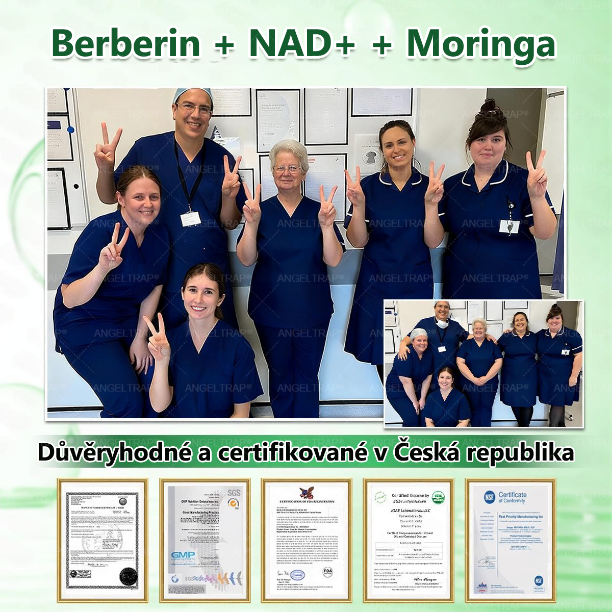 🍀🧩Oficiální prodejna  |  🧑‍⚕️𝐀𝐍𝐆𝐄𝐋𝐓𝐑𝐀𝐏® 𝐌𝐨𝐫𝐢𝐧𝐠𝐚 × 𝐁𝐞𝐫𝐛𝐞𝐫𝐲𝐧𝐚 × 𝐀𝐌𝐏𝐊 𝟏𝟎 v 1 – Zeštíhlující nano mikrojihlový náplast 🇨🇿 Jen 1× denně ✅ Viditelné změny za 7 dní – na obezitu, kardiovaskulární zdraví, diabetes a kloubní problémy