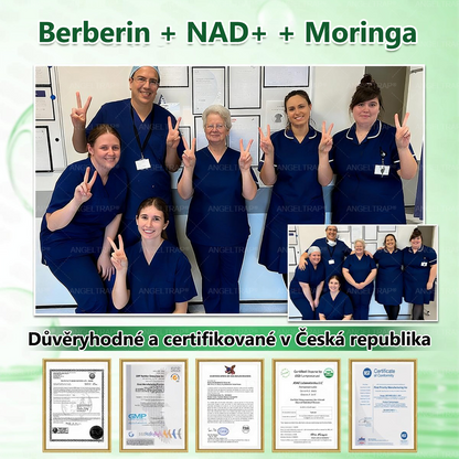 🍀✨Oficiální prodejna  |  🧑‍⚕️ANGELTRAP® 𝐌𝐨𝐫𝐢𝐧𝐠𝐚 × 𝐁𝐞𝐫𝐛𝐞𝐫𝐲𝐧𝐚 × 𝐀𝐌𝐏𝐊 𝟏𝟎 v 1 – Zeštíhlující nano mikrojihlový náplast 🇨🇿 Jen 1× denně ✅ Viditelné změny za 7 dní – na obezitu, kardiovaskulární zdraví, diabetes a kloubní problémy