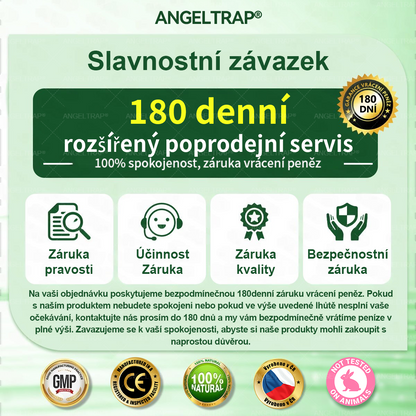 🍀✨Oficiální prodejna  |  🧑‍⚕️ANGELTRAP® 𝐌𝐨𝐫𝐢𝐧𝐠𝐚 × 𝐁𝐞𝐫𝐛𝐞𝐫𝐲𝐧𝐚 × 𝐀𝐌𝐏𝐊 𝟏𝟎 v 1 – Zeštíhlující nano mikrojihlový náplast 🇨🇿 Jen 1× denně ✅ Viditelné změny za 7 dní – na obezitu, kardiovaskulární zdraví, diabetes a kloubní problémy